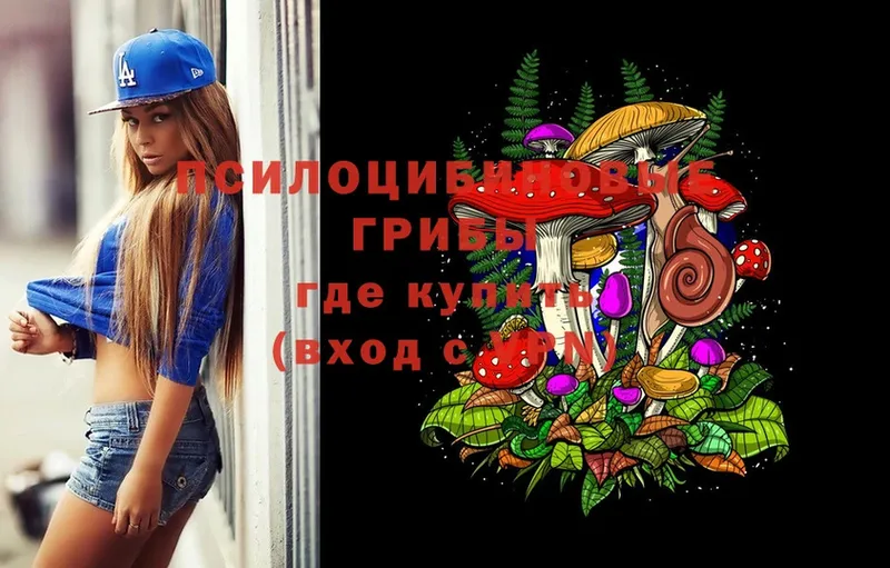 где можно купить   ОМГ ОМГ ССЫЛКА  Псилоцибиновые грибы MAGIC MUSHROOMS  Завитинск 